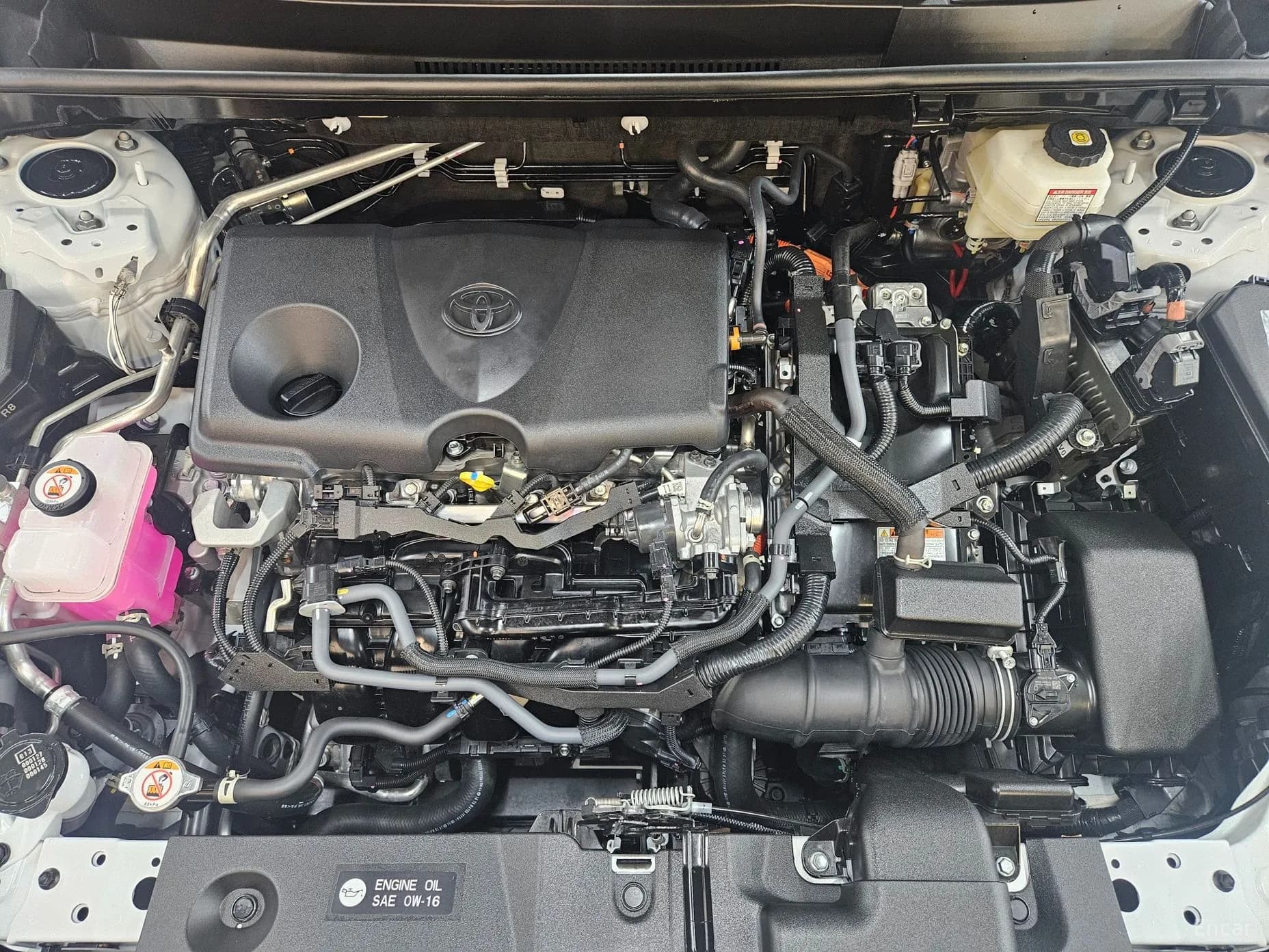 RAV4 5th Generation