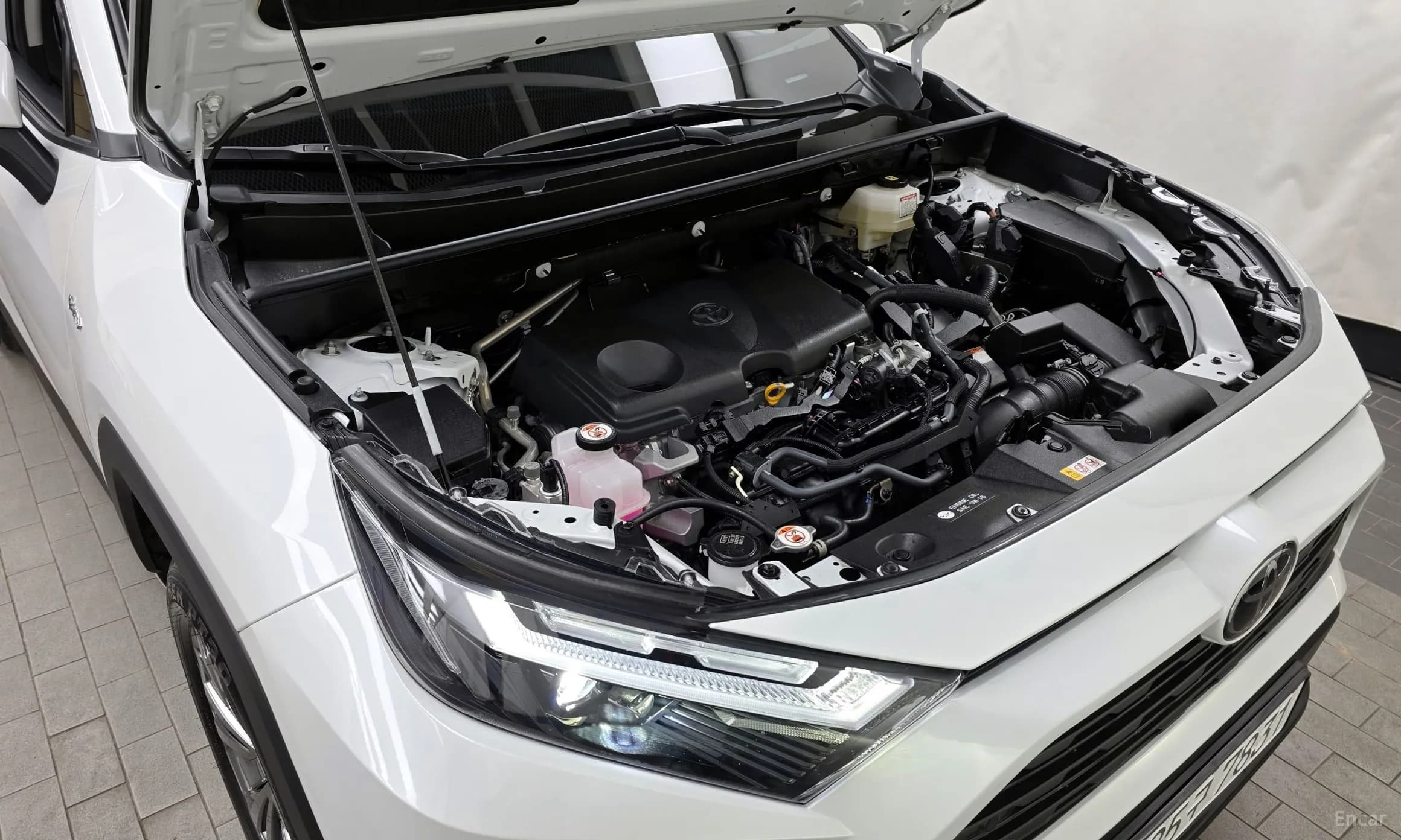 RAV4 5th Generation