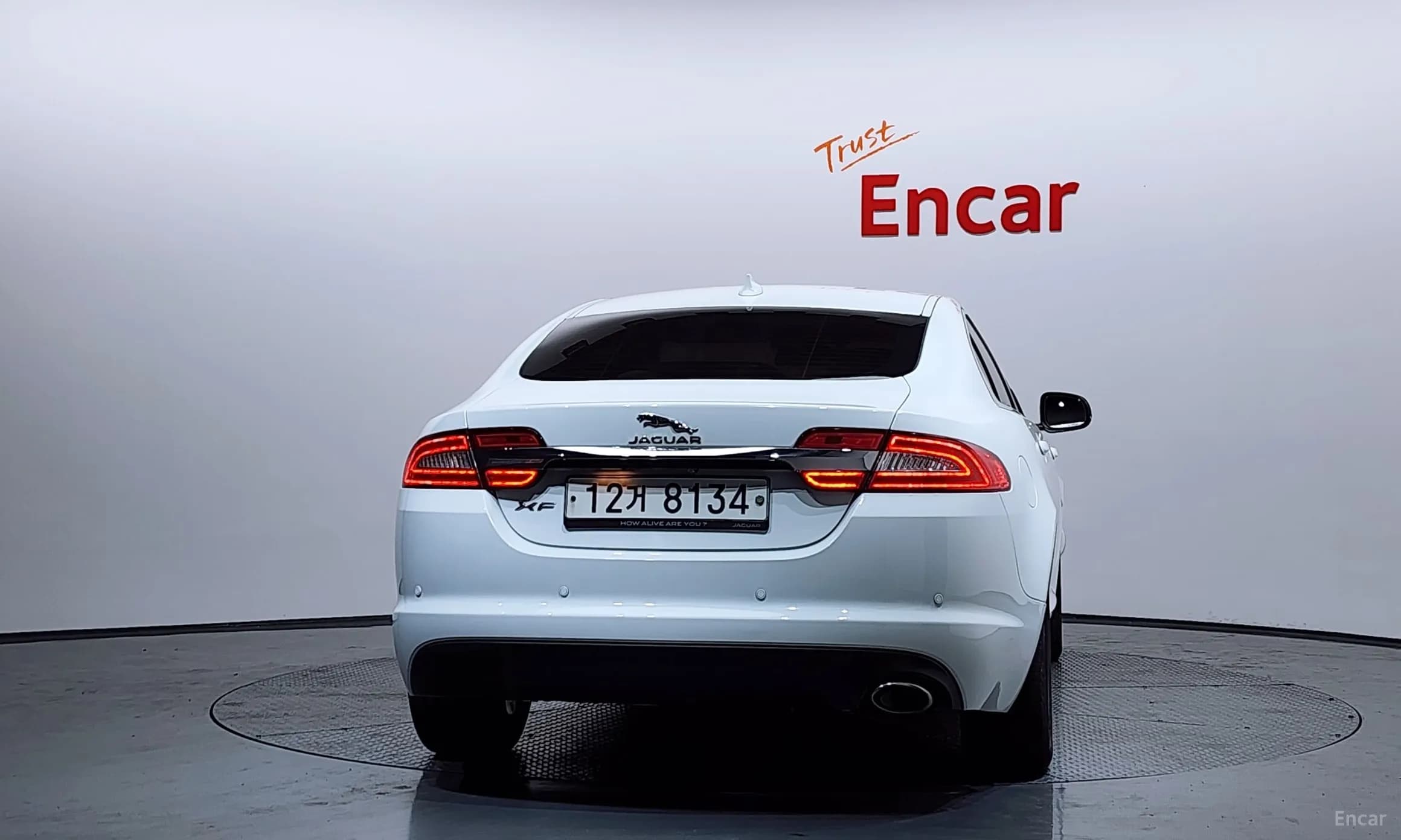 New XF