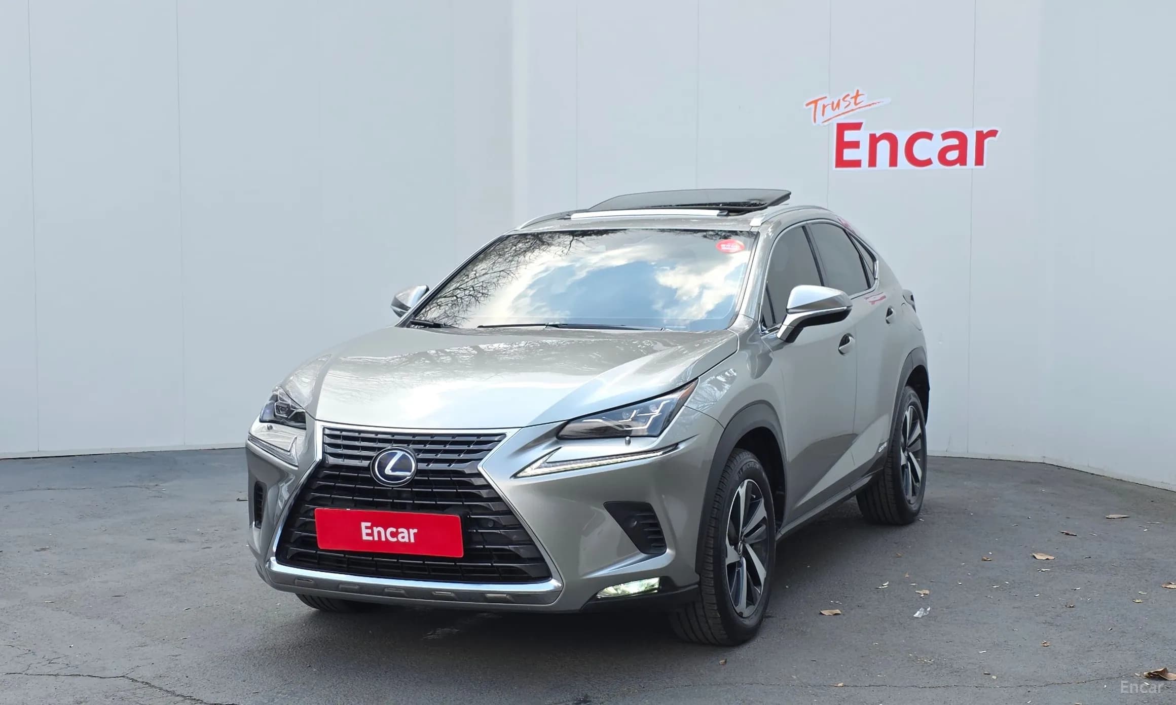 NX300h