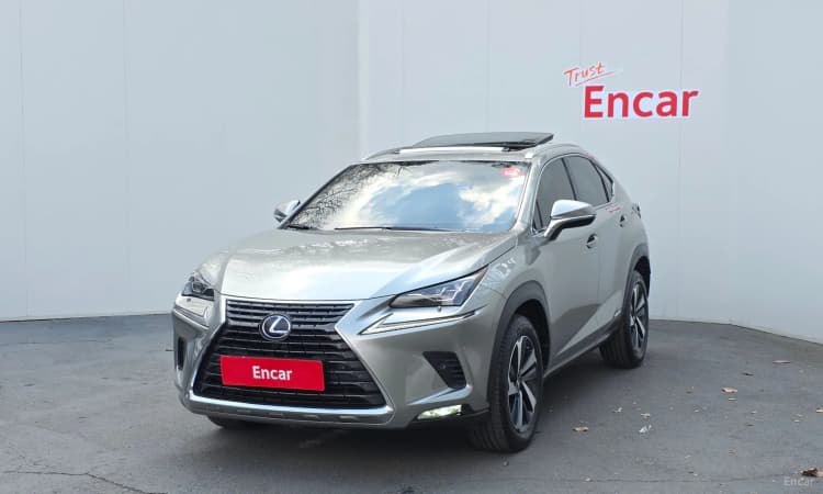 NX300h