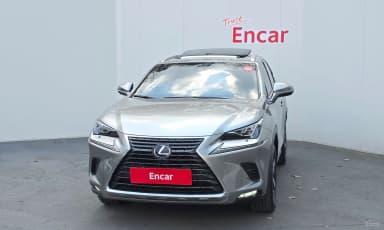 NX300h