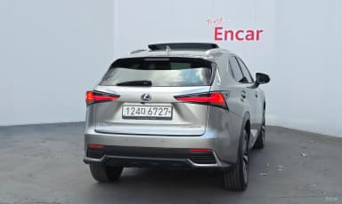 NX300h