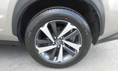 NX300h
