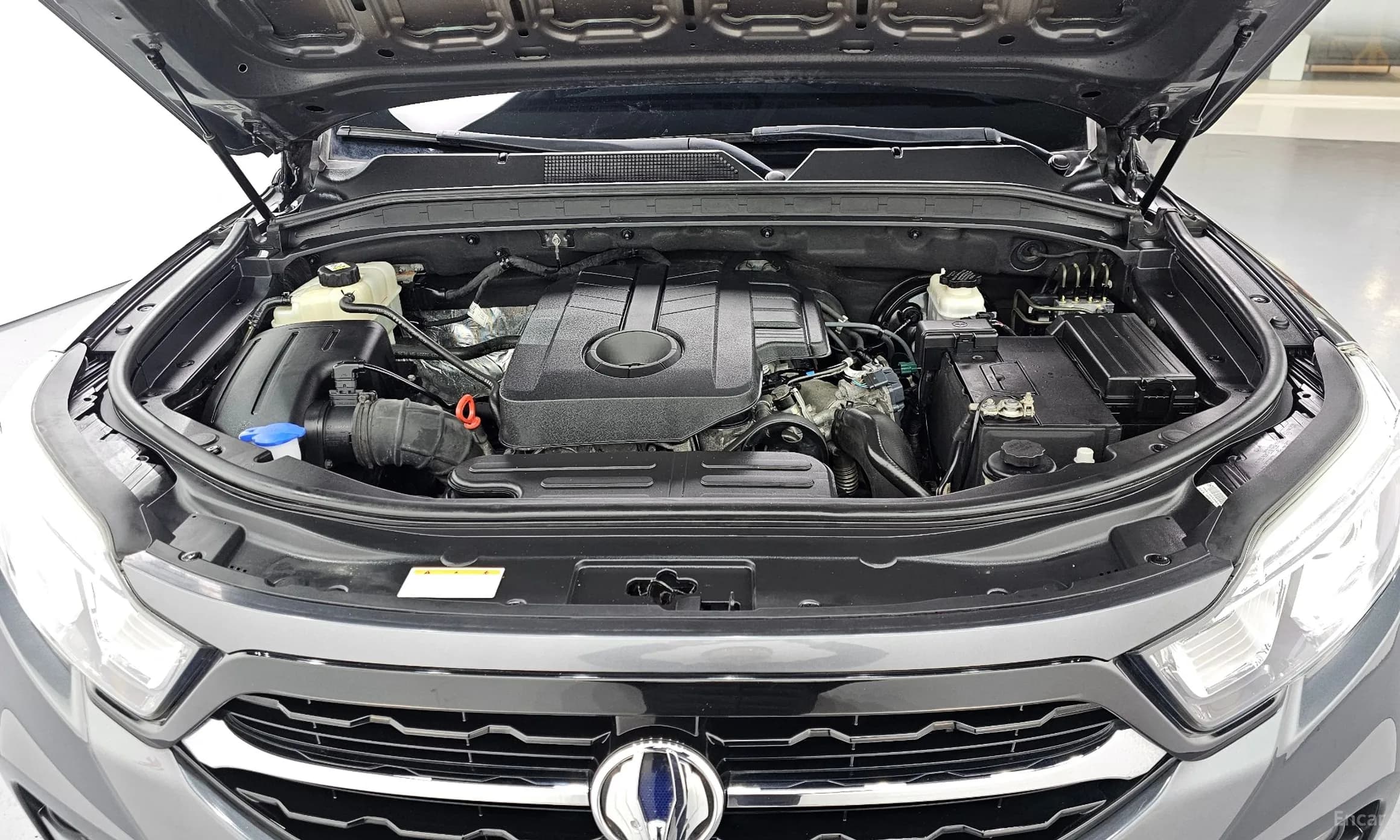Rexton Sports