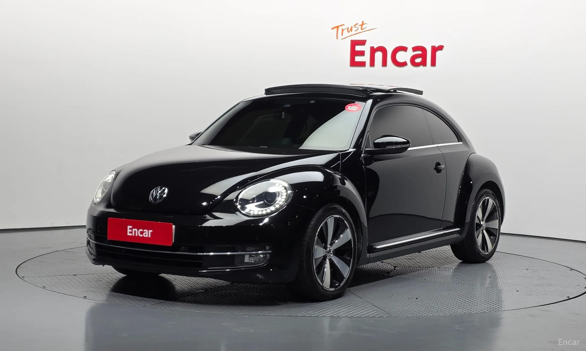 The Beetle