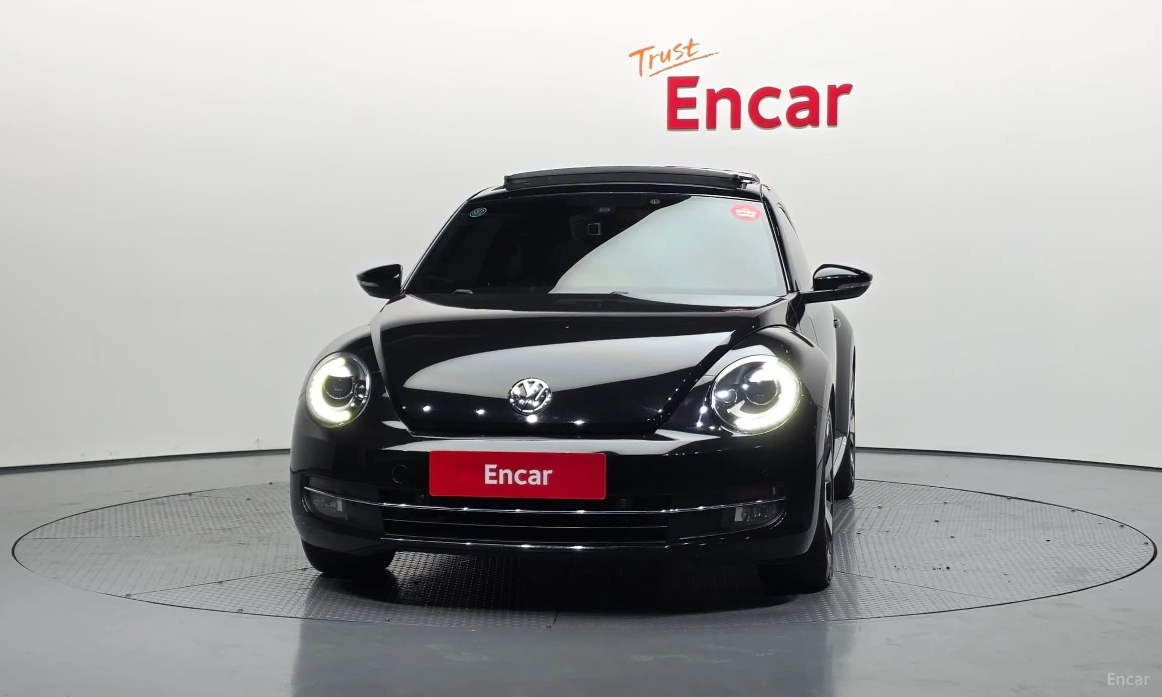 The Beetle