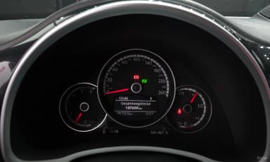 The Beetle
