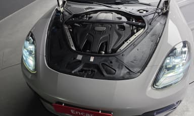 Panamera (971)