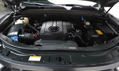 Rexton Sports