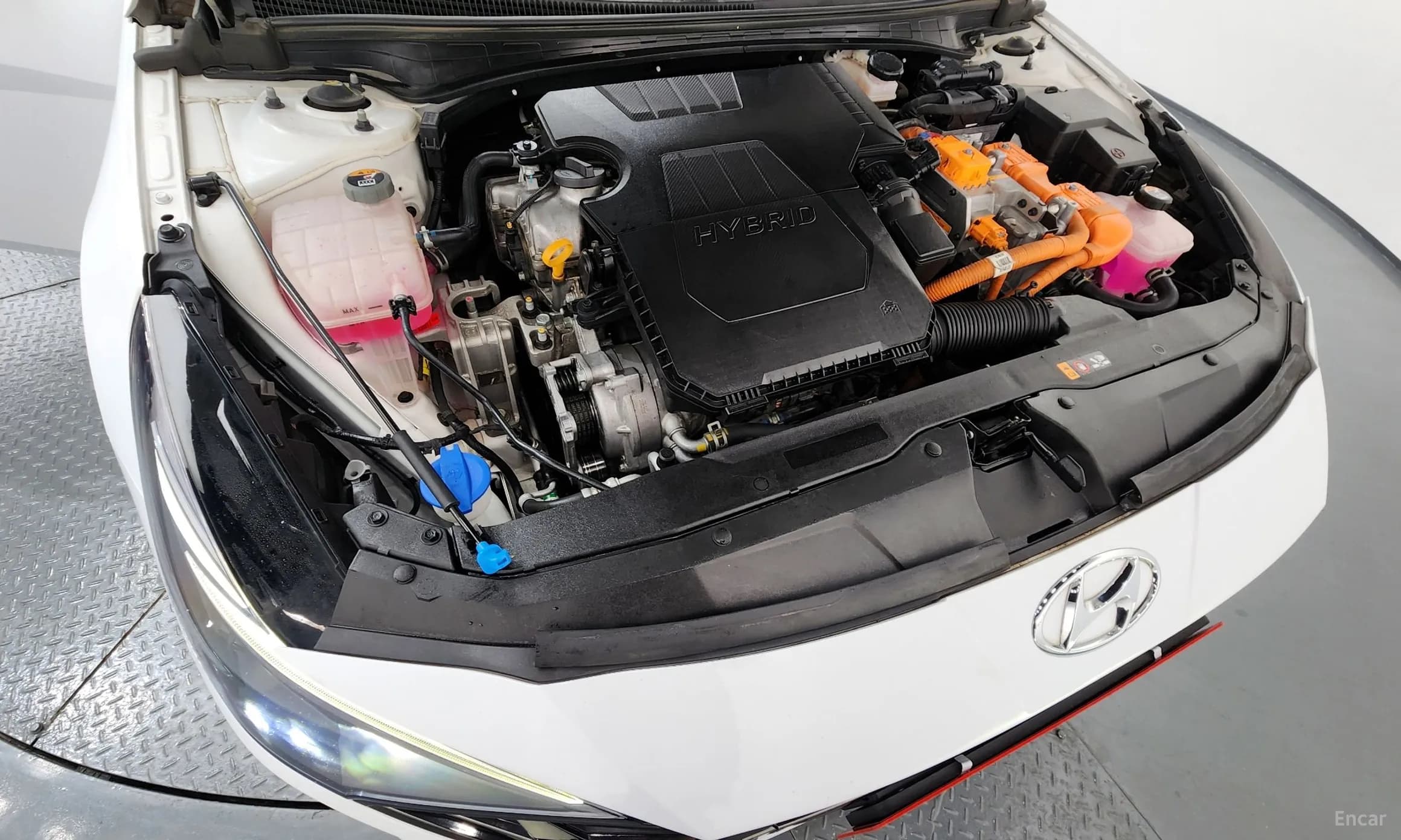 Avante Hybrid (CN7)
