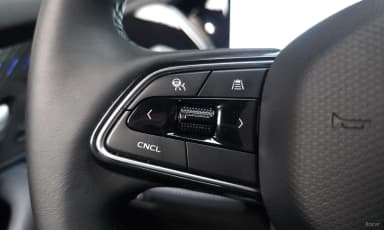 Grang Koleos