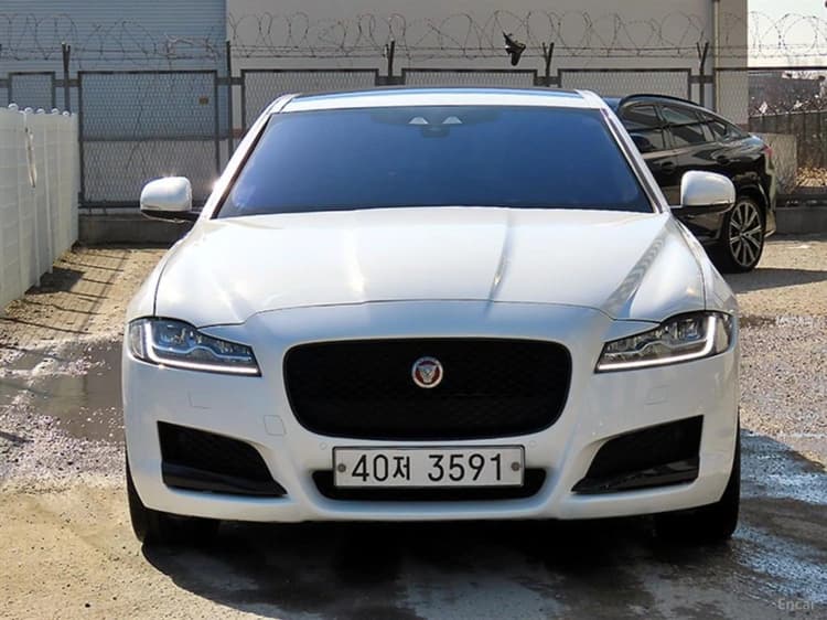 XF (x260)