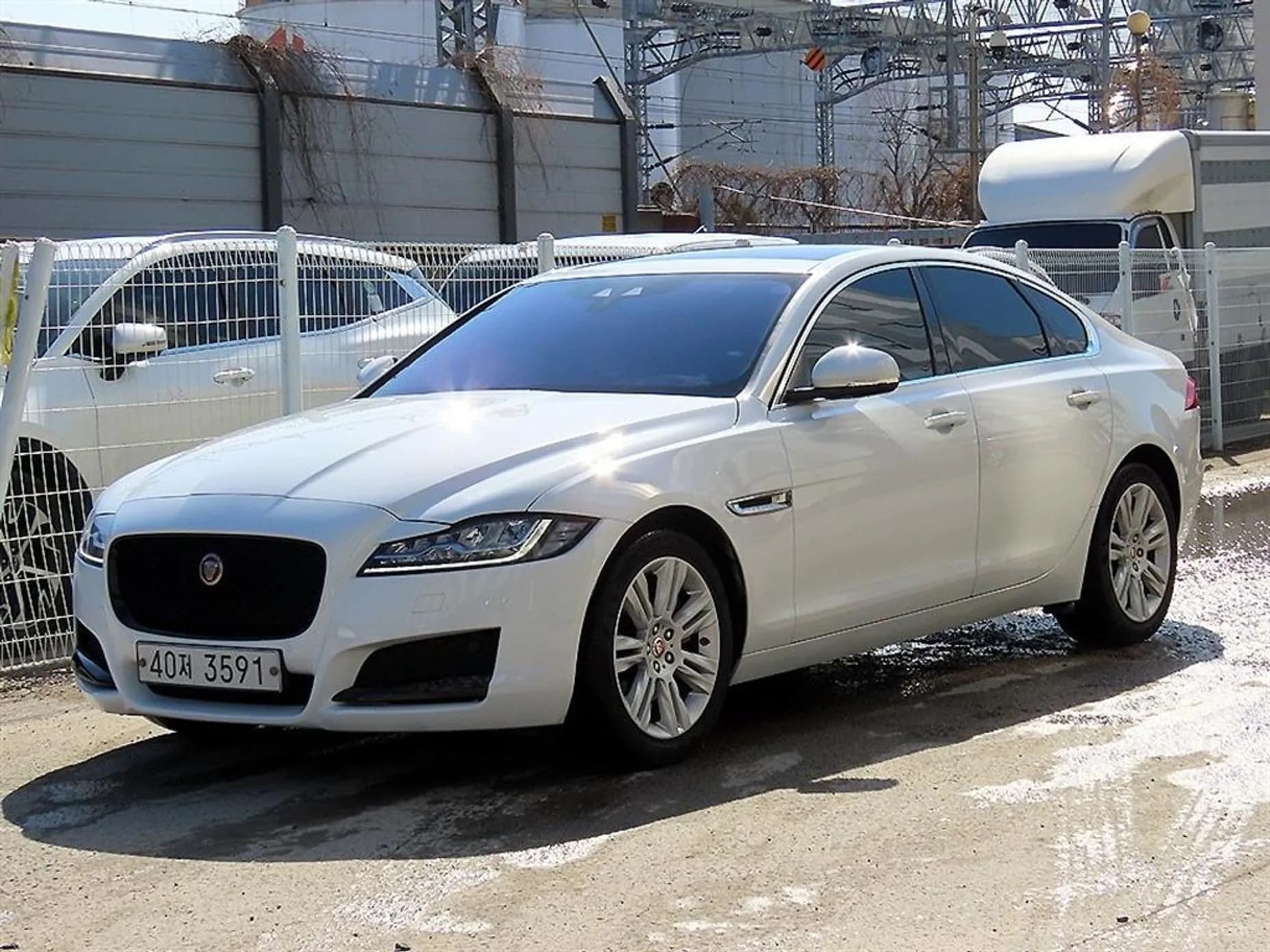 XF (x260)