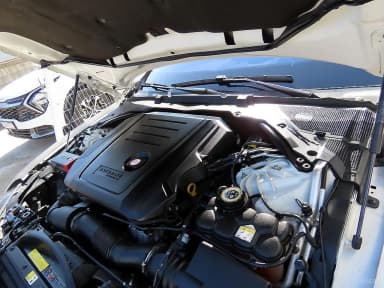 XF (x260)