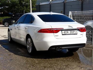 XF (x260)