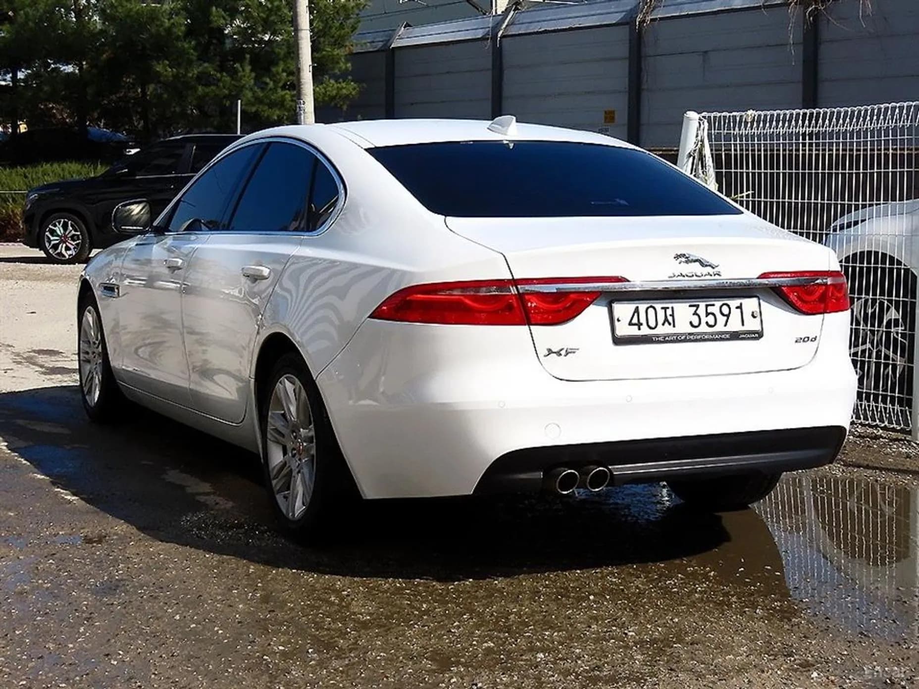 XF (x260)