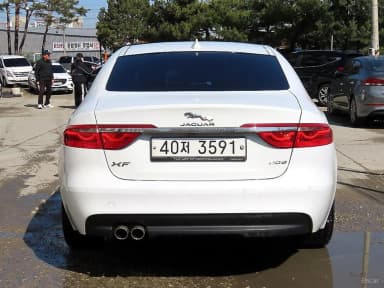 XF (x260)