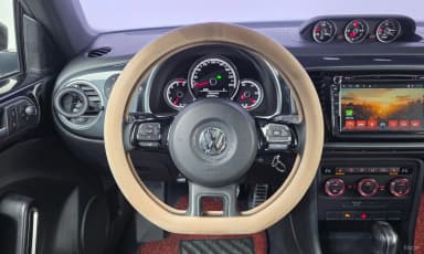 The Beetle