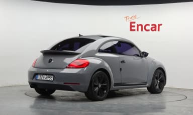 The Beetle