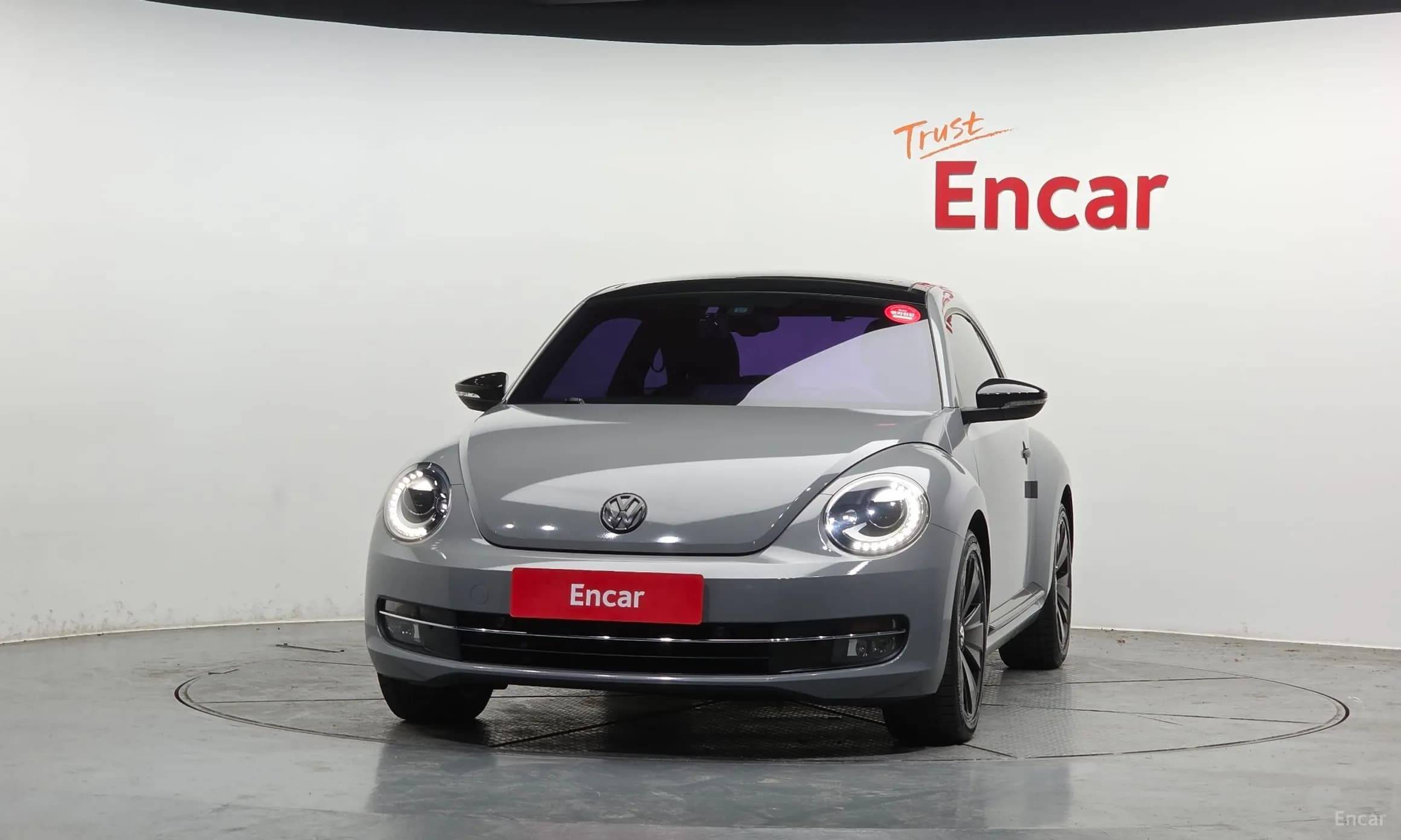 The Beetle