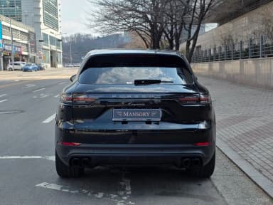 Cayenne (PO536)