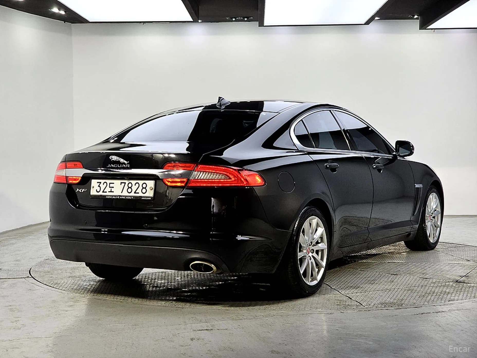 New XF