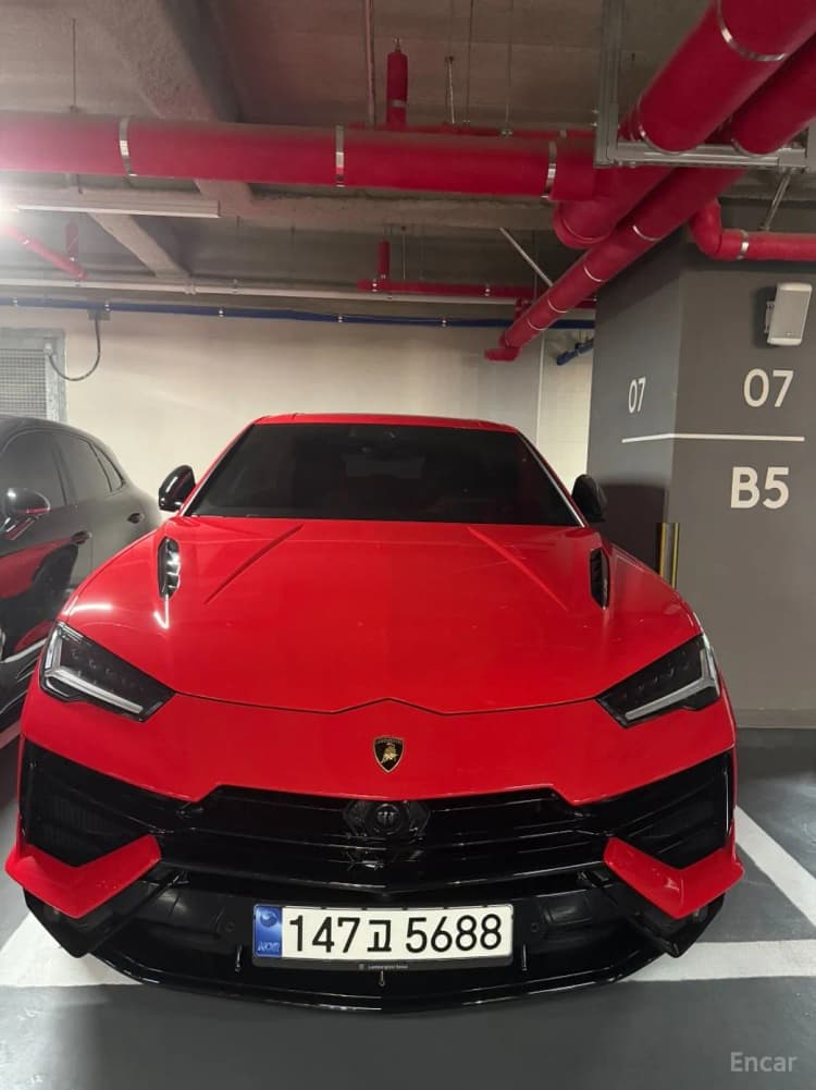 Urus