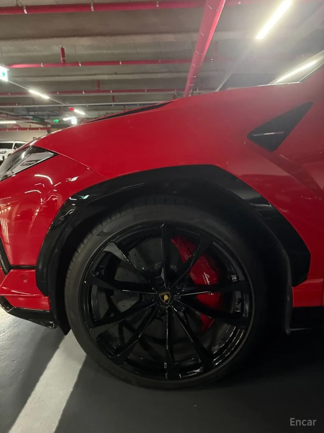Urus