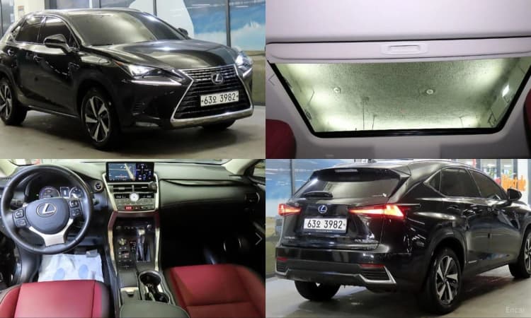 NX300h