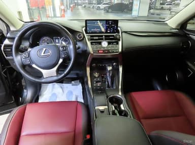 NX300h