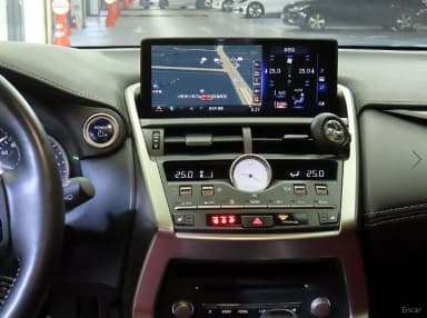 NX300h