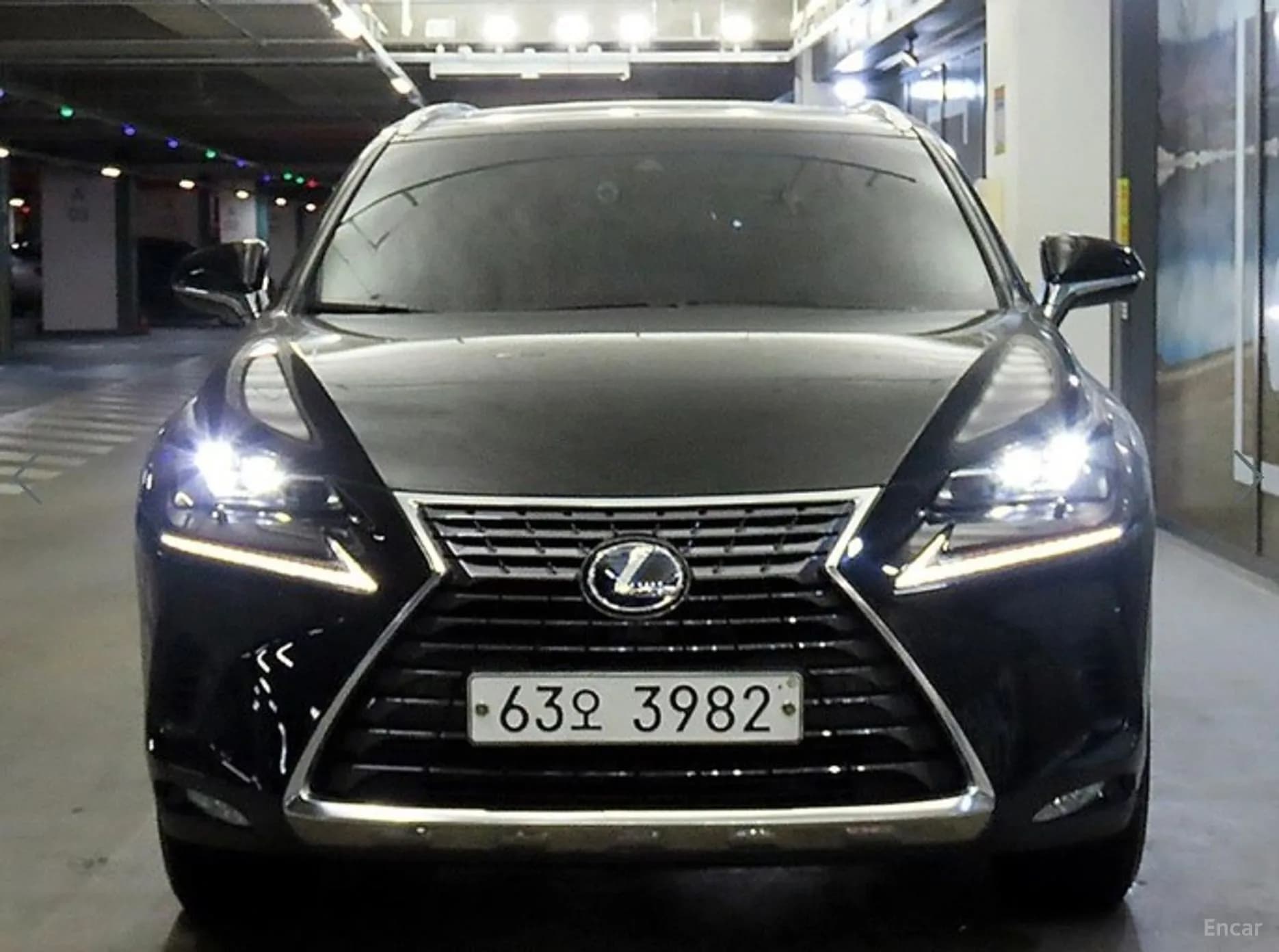 NX300h