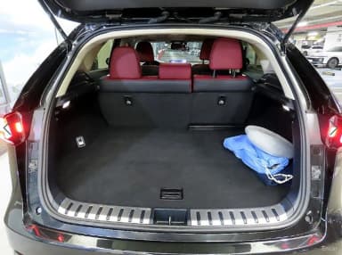 NX300h