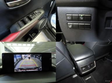 NX300h