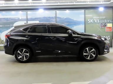 NX300h
