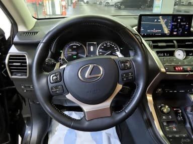 NX300h