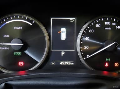 NX300h
