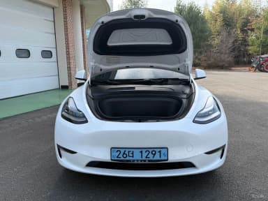 Model Y