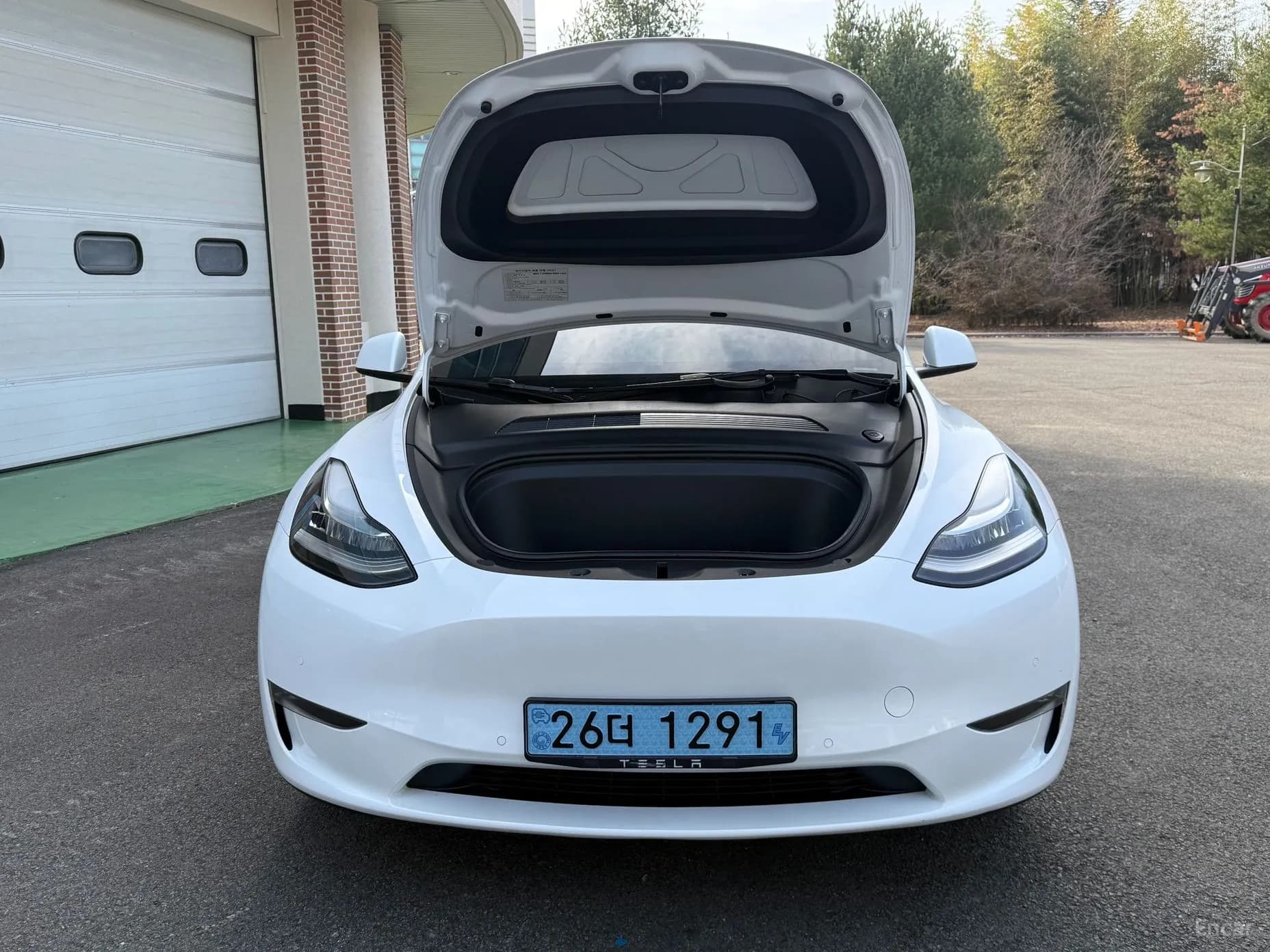 Model Y