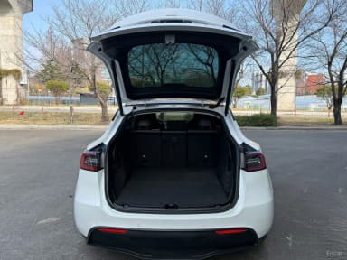 Model Y