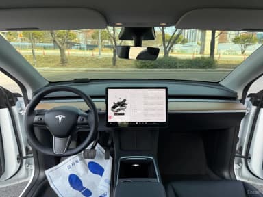 Model Y