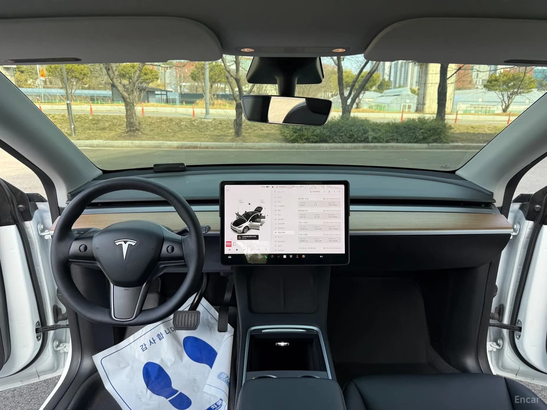 Model Y