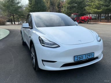 Model Y