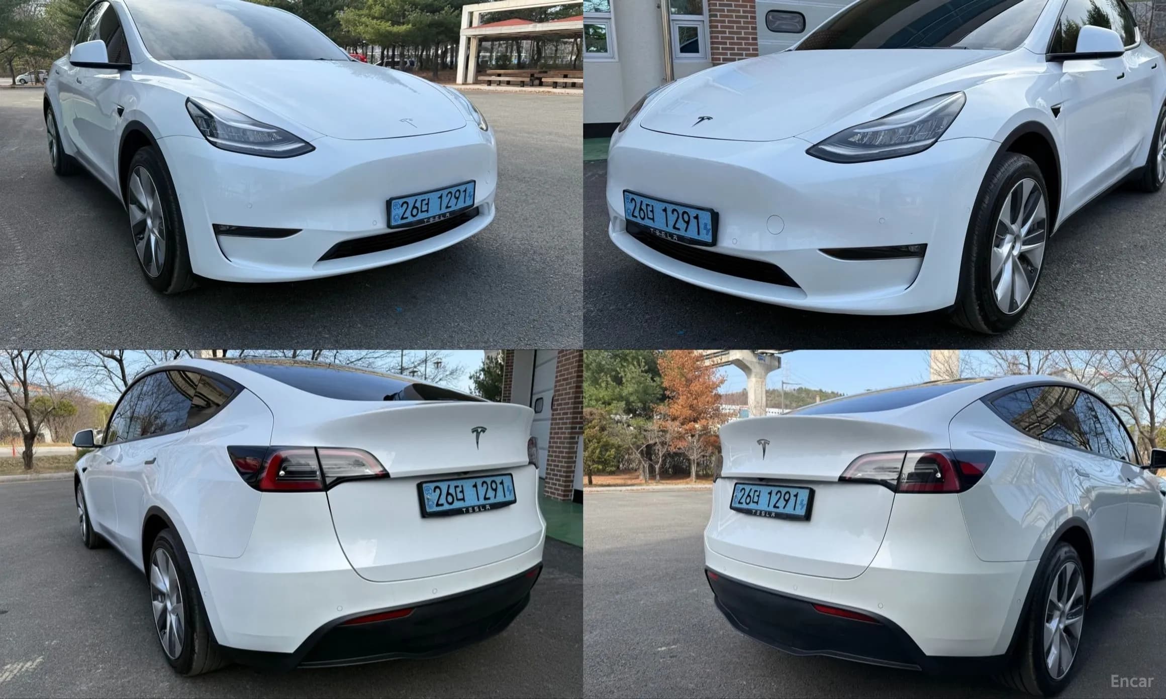 Model Y