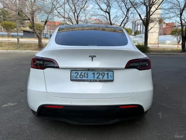 Model Y