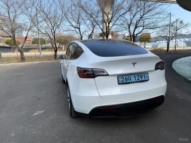 Model Y