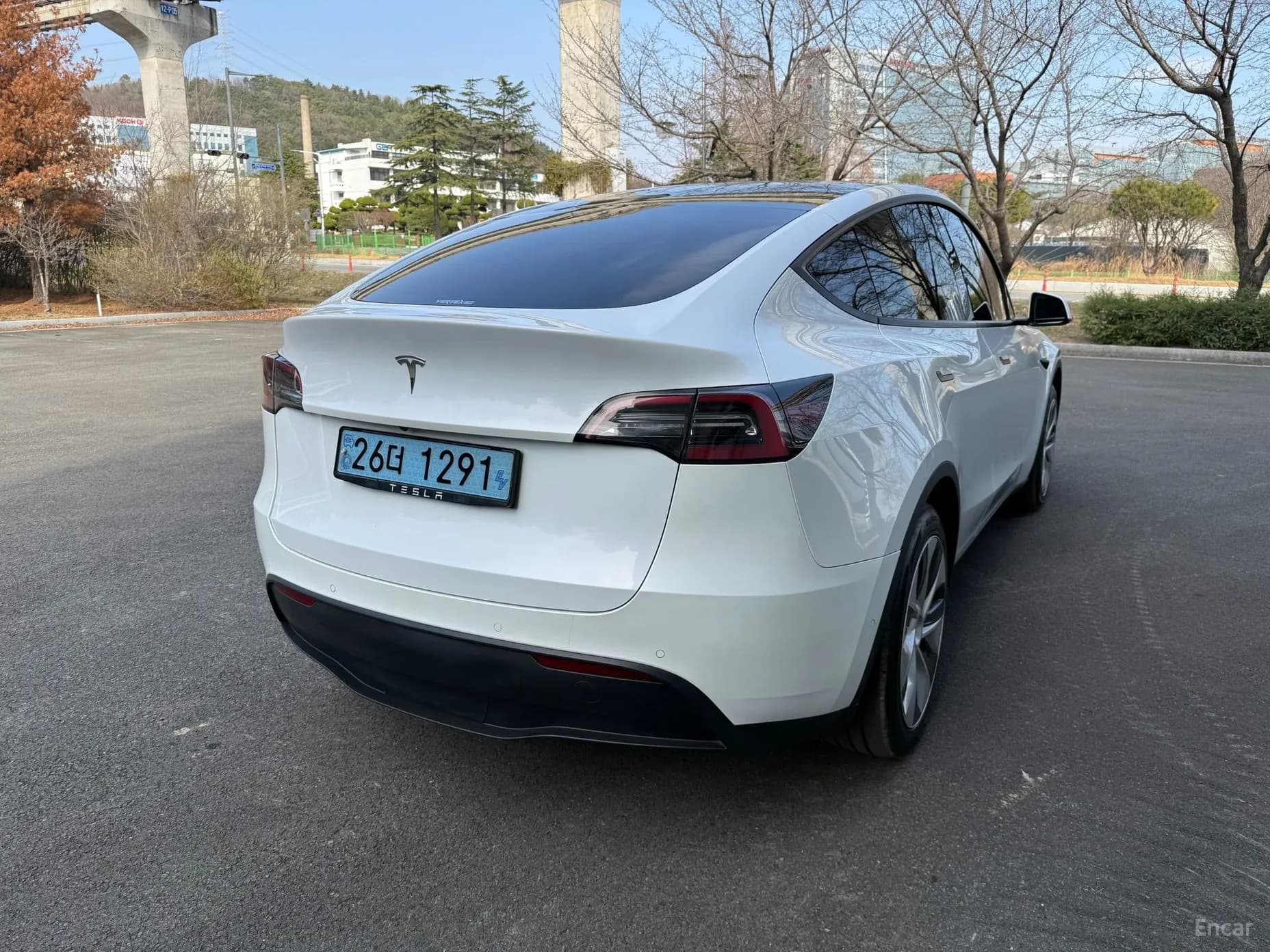 Model Y