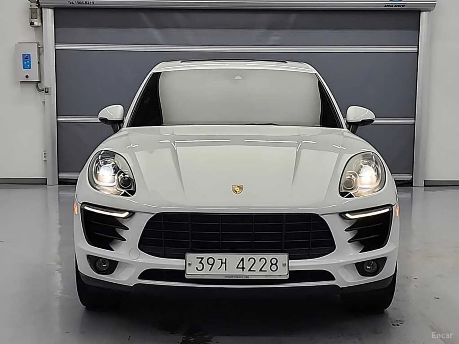 Macan