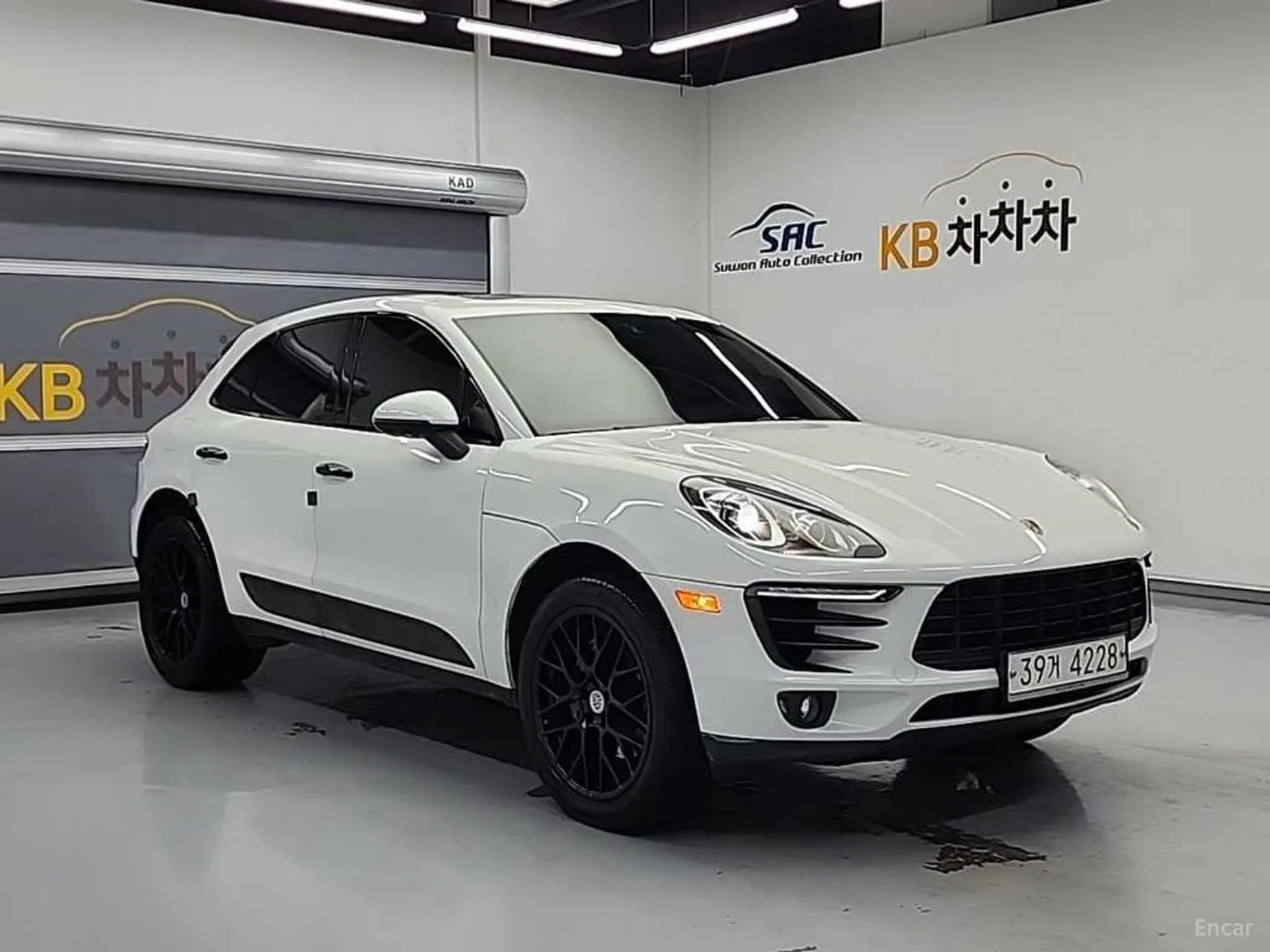 Macan